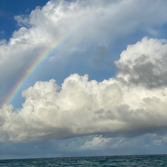 Meet your Posher, Annemarie - Picture 1 of 1